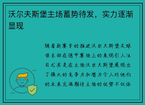 沃尔夫斯堡主场蓄势待发，实力逐渐显现